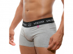 Boxer Cinzento para Homem em Algodão Elástico
